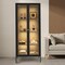 Black 4-Tier Steel Glass Display Curio Cabinet with LED Lights and with Adjustable Shelves